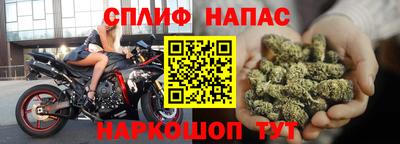 шишки Новокубанск