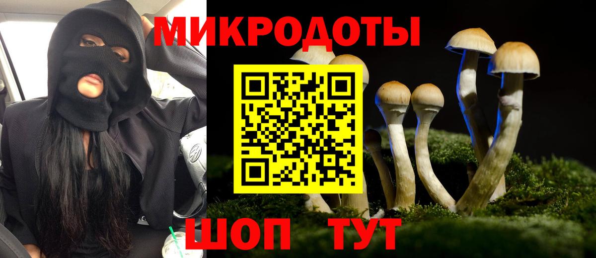 Галлюциногенные грибы Psilocybine cubensis Чапаевск