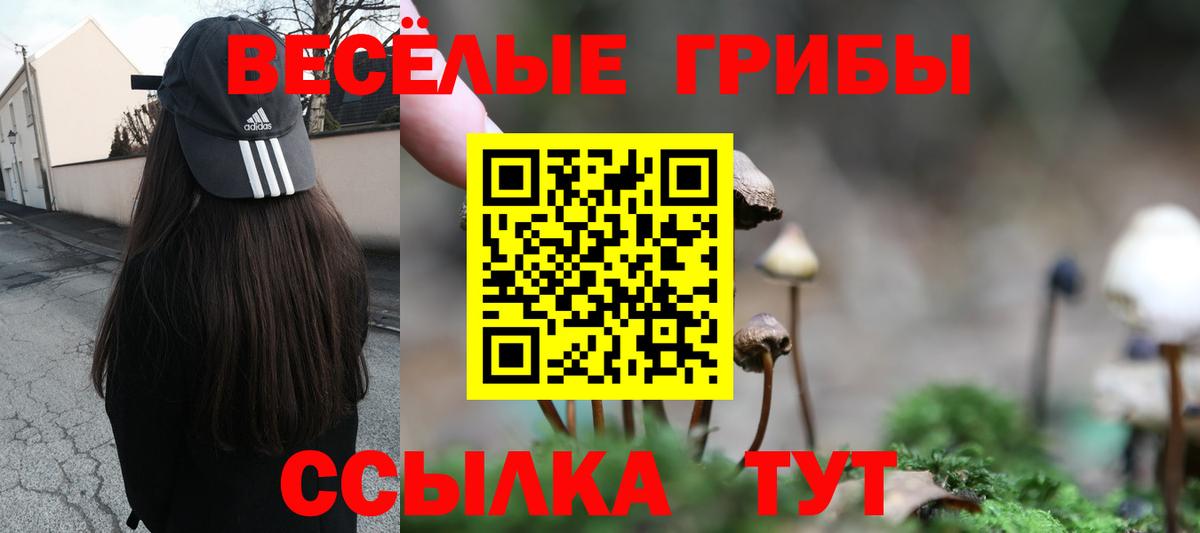Чапаевск  Галлюциногенные грибы мицелий  Галлюциногенные грибы GOLDEN TEACHER  наркота  Вход с VPN 
